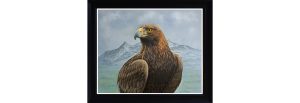 Golden Eagle (The Cuillins On Skye)