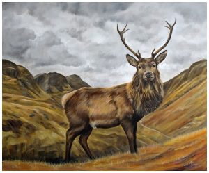 Glencoe Stag