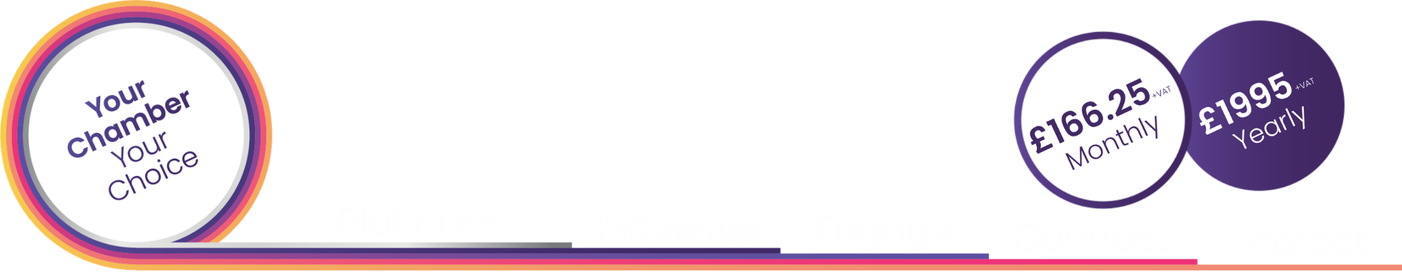Influence top page banner with price