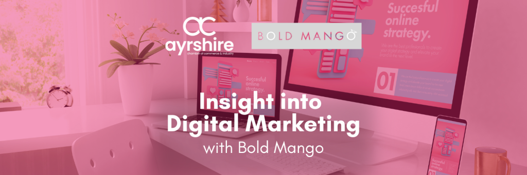 Insight into Digital Marketing with Bold Mango