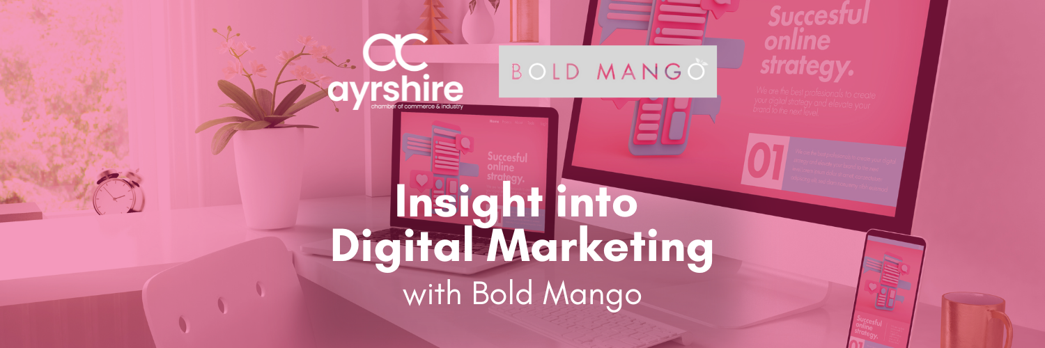 Insight into Digital Marketing with Bold Mango
