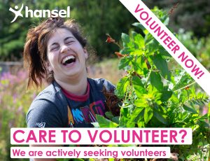 Care to Volunteer? Opportunities for team or CSR days at Hansel.