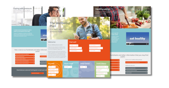 Wellbeing Plan thumbnail EMAIL (1)